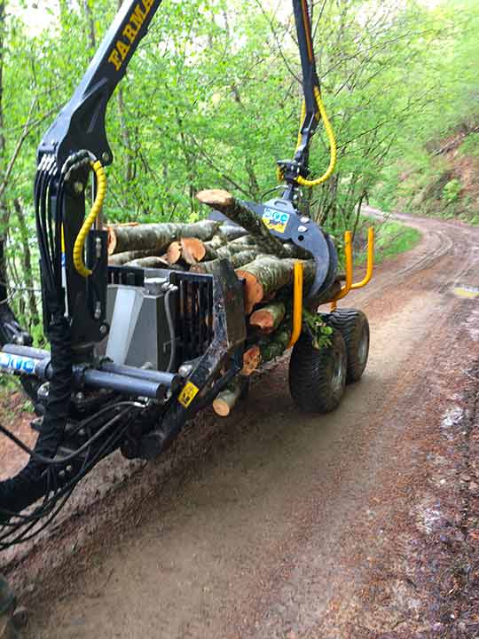 travaux forestier ecologique