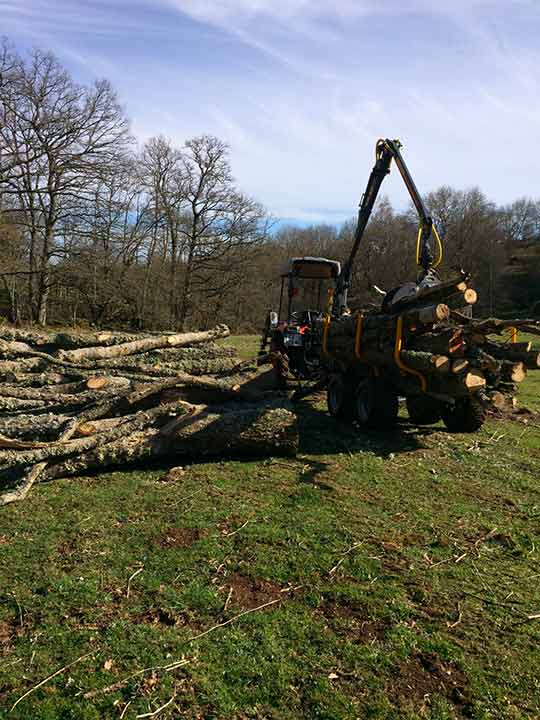 entreprise de travaux forestier