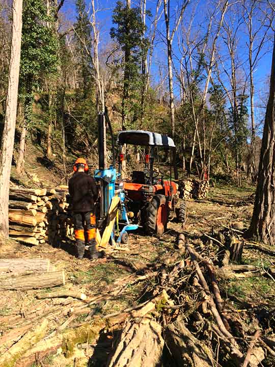 travaux forestier écologique