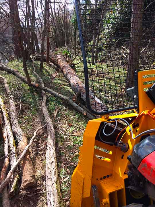 débardage de bois